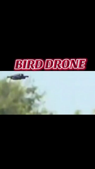 BIRD DRONE