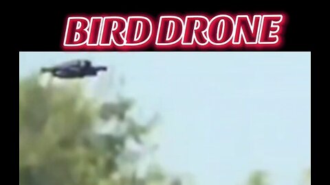 BIRD DRONE