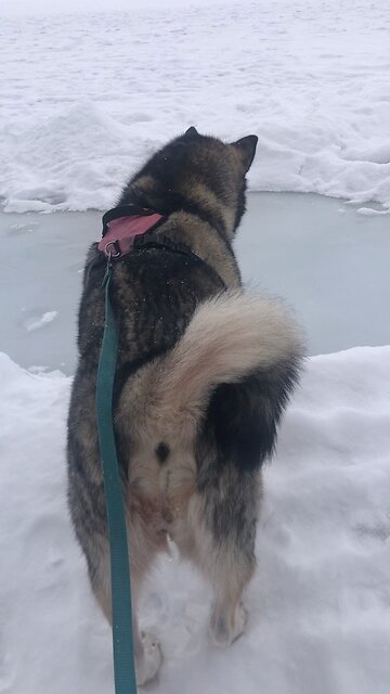 Sunday January 12, I know the plans I have for you