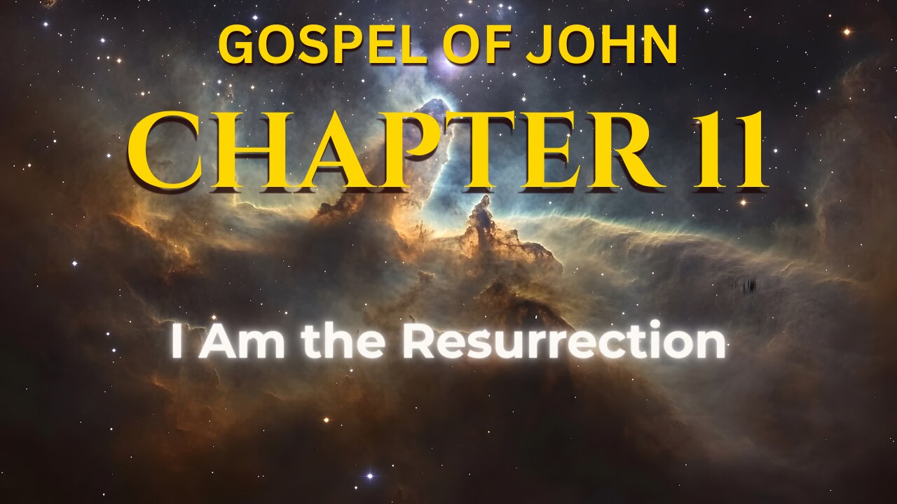 John Chapter 11 - World English Bible