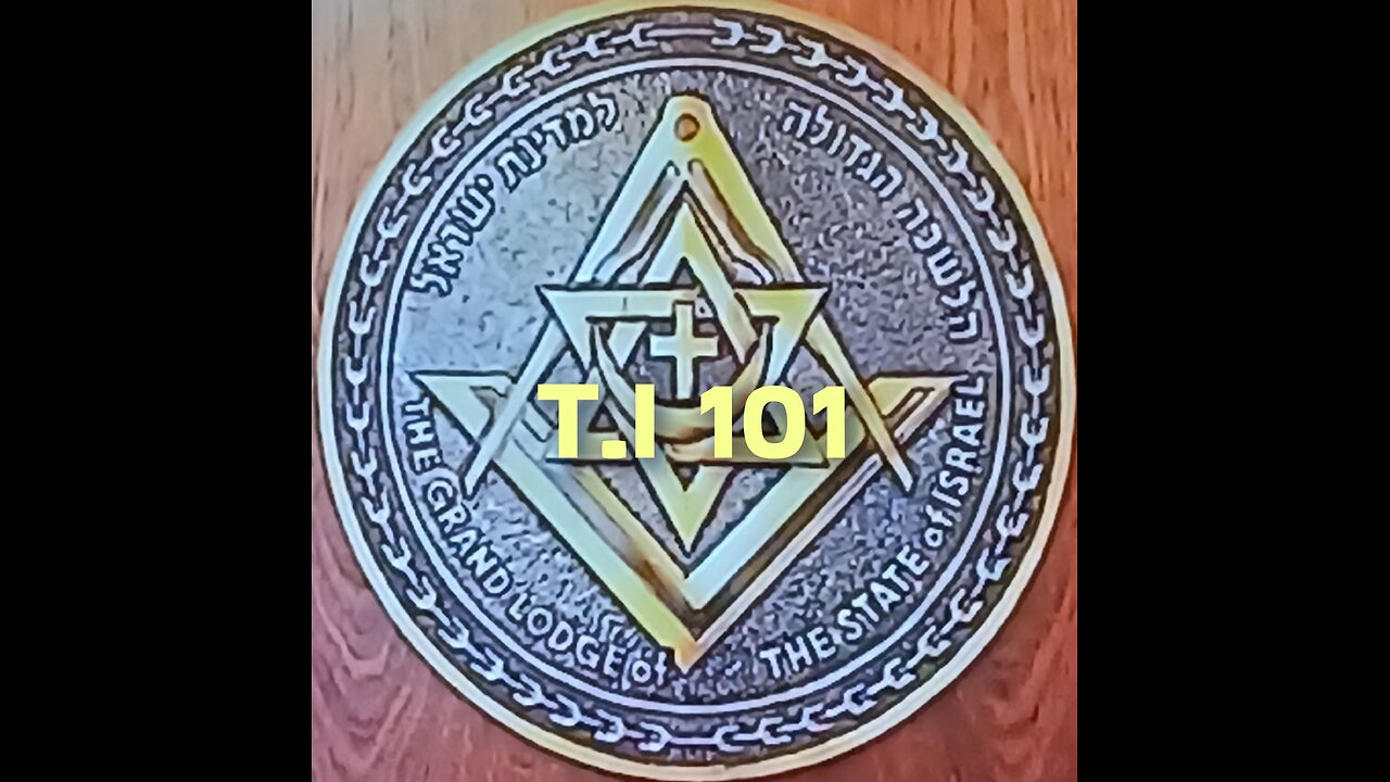 Targeted Individuals 101