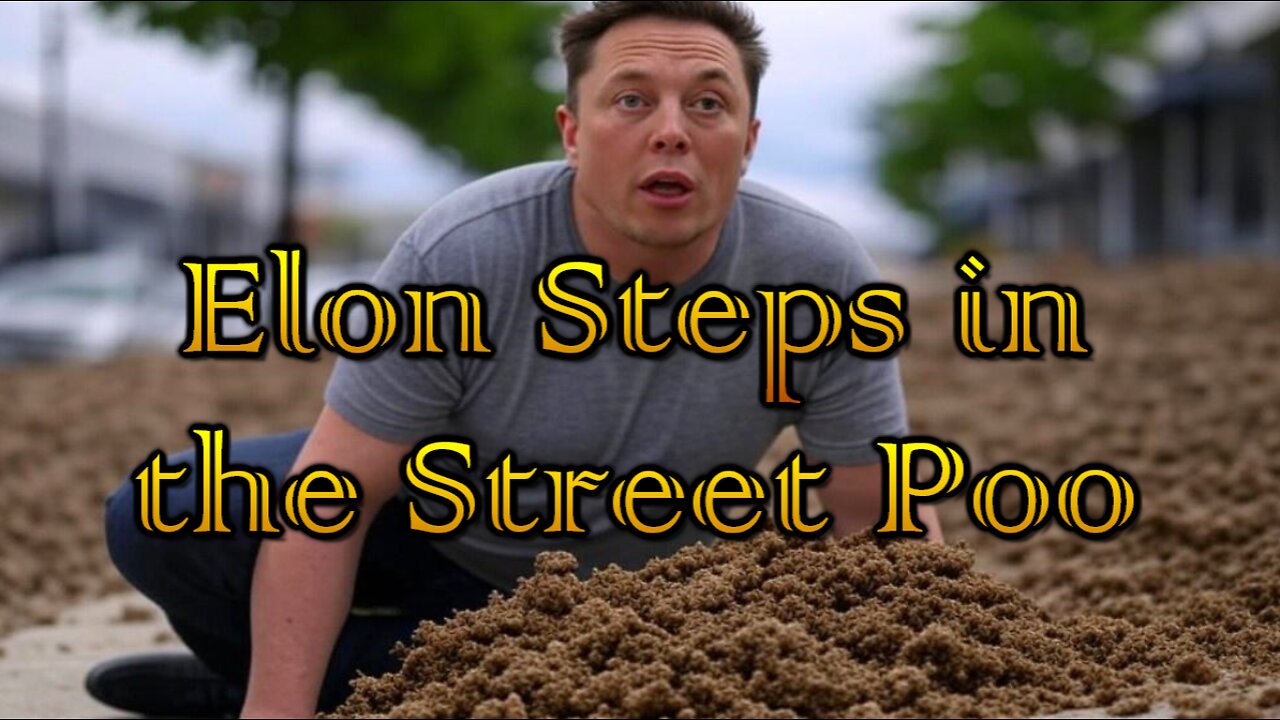 Hard Videos: 31DEC2024 “Elon Steps in the Street Poo”