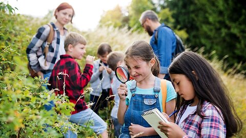 Homeschooled Kids vs. Public School Kids: Shocking Differences!