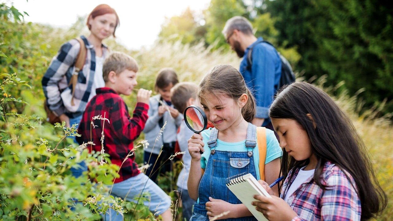 Homeschooled Kids vs. Public School Kids: Shocking Differences!