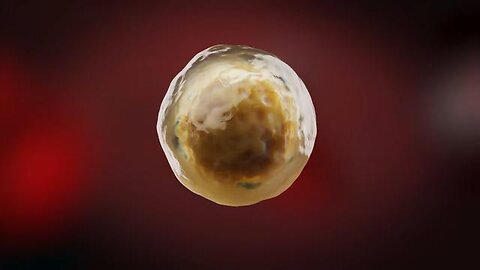 Dr. John Campbell -mmrna- Lipid nanoparticles with Dr, Craig