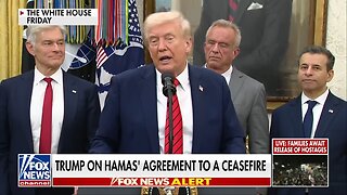 ‘The signs aren’t good’: National security expert on Hamas’ re-emergence in Gaza
