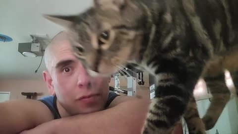 Brother Cat Statisfied By My Knockout (Jan 19, 2025)