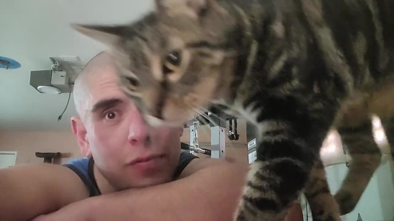 Brother Cat Statisfied By My Knockout (Jan 19, 2025)