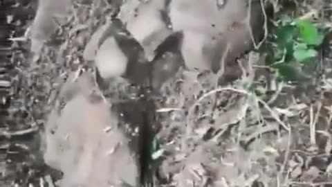 🔭💥 Mysterious Stones in Ibiána: Ancient Alien Artifacts? | TheTruthAbove