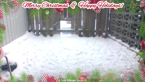 ⭐ Merry Christmas: Marvin Martian in the snow! ⭐#cat