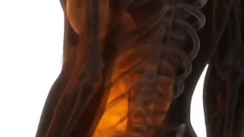 What happens in our body when we eat a banana?