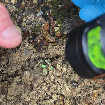 When you forget a spatula at the Uranium mine