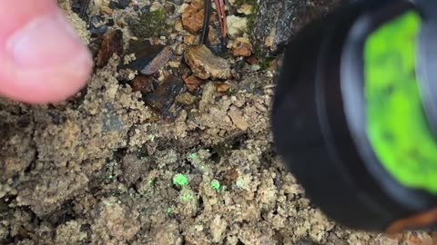 When you forget a spatula at the Uranium mine