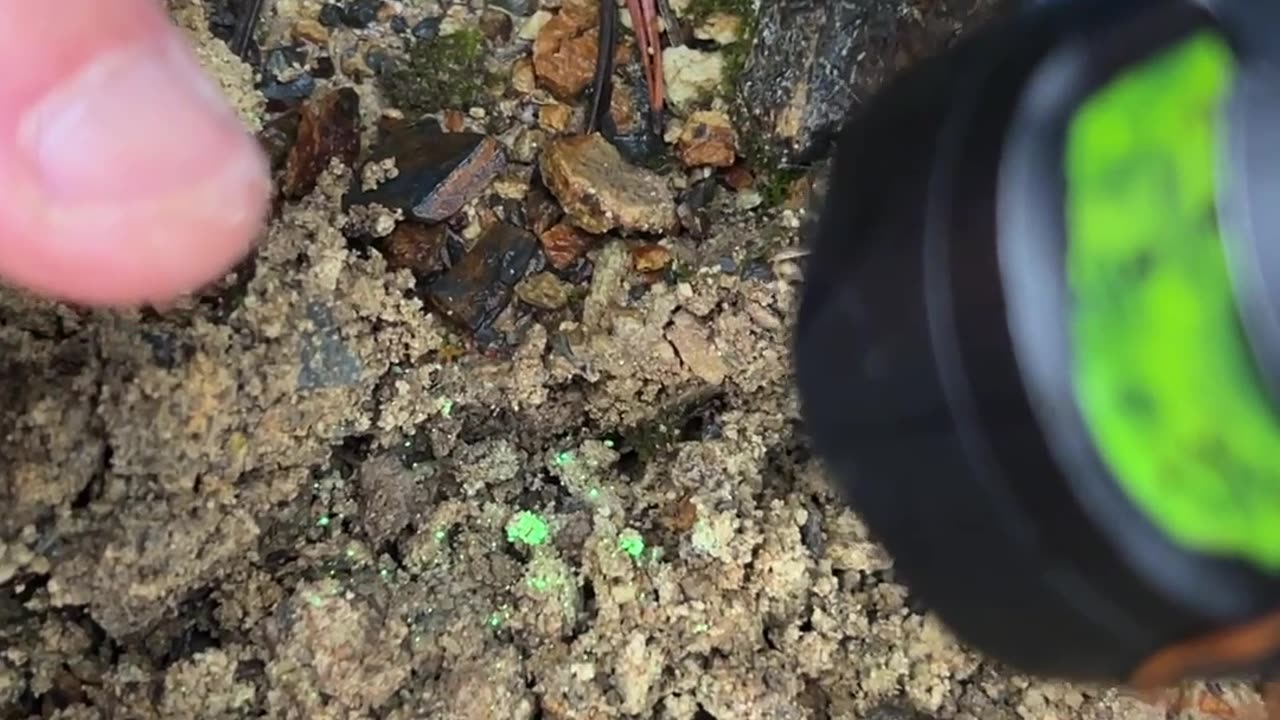 When you forget a spatula at the Uranium mine