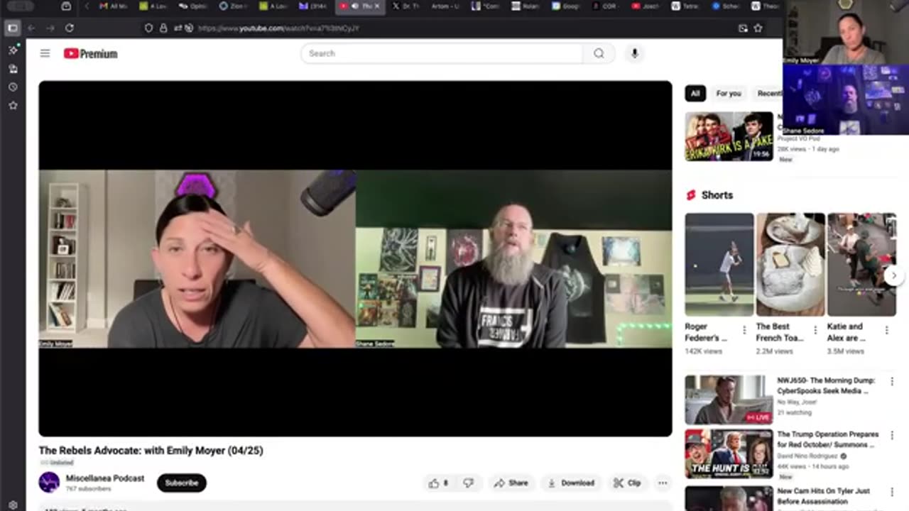 Вся реальность проецируется- снова на шоу Странная мозаика Шейн Седор-Разрушитель