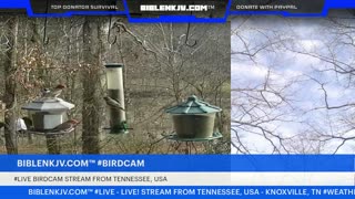 BIBLENKJV.COM™ 12/13/2025 #LIVE #BIRDCAM #WEATHER