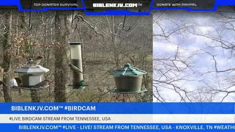 BIBLENKJV.COM™ 12/13/2025 #LIVE #BIRDCAM #WEATHER