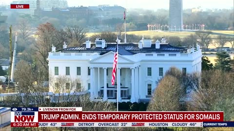 BREAKING Trump ends temporary protective status for Somalis.