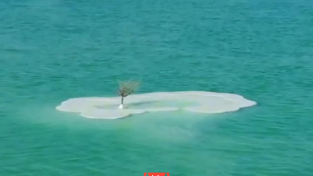 Discover the Dead Sea: Nature's Float Tank!🌍🛳️