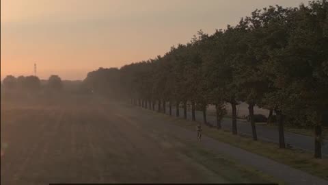 Daily Horoscope | Pisces 🌟