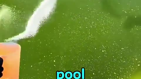 🤯💧 You Won't Believe The Challenges Of Pool Cleaning! | FeedMyCuriosity