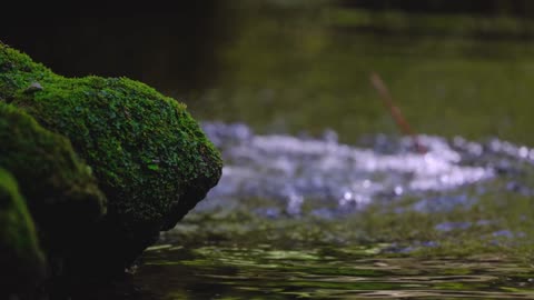 Relaxing Music With Water Sounds Meditation