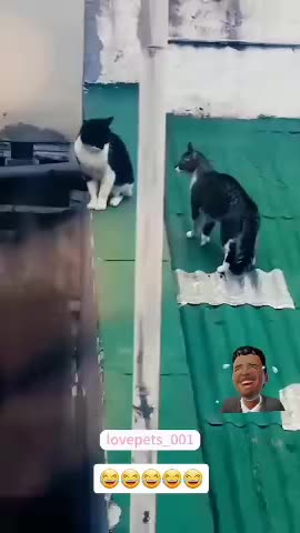 survival for the fittest ... 😂