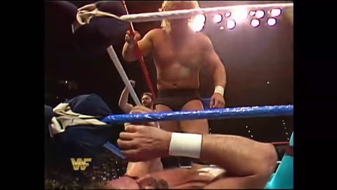 Survivor Series 1988