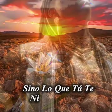 REFLEXIÓN ✨️ 🙏 ✨️ 🙏 ✨️ 🙏 ✨️ 🙏 ✨️ 🙏 ✨️ 🙏