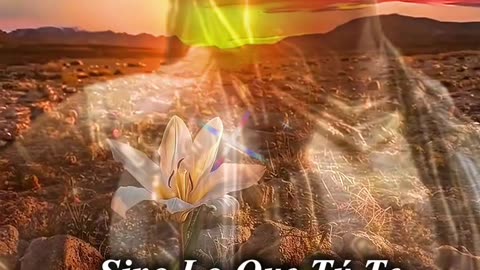 REFLEXIÓN ✨️ 🙏 ✨️ 🙏 ✨️ 🙏 ✨️ 🙏 ✨️ 🙏 ✨️ 🙏