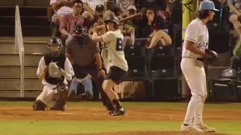Fan At Bat
