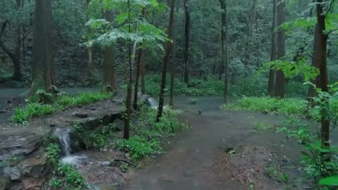 The streams and rain in the valley