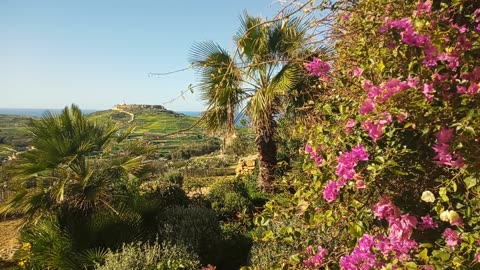 Spaziergang Zebbug Gozo am 04.02.2025