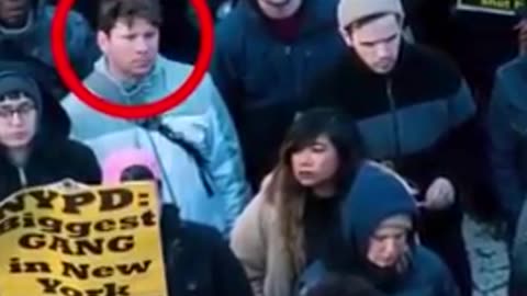 Protesters Are Paid $3,500 - $4,200 a month for 20 hours a week