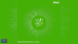 VA - Redux Selection, Vol. 12 / 2025 (2025)