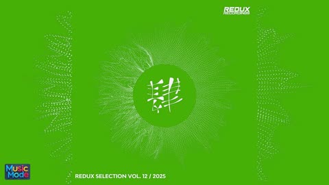 VA - Redux Selection, Vol. 12 / 2025 (2025)