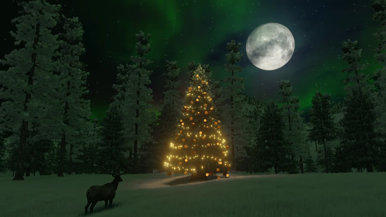 Aurora Moon and Tree