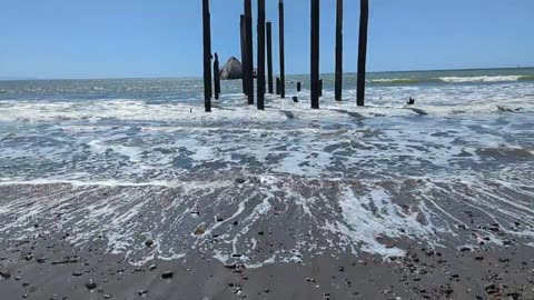 AMSR At Seacliff Beach