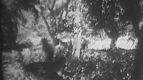 Iberian Peninsula - Iberian Peninsula - gov.archives.arc.651778