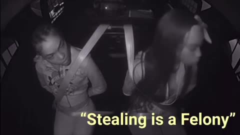 "Wait, stealing is a felony now?" 2 thieves discuss their arrest in back of police car