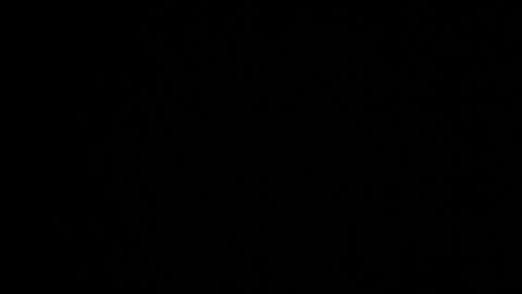 Something a little different