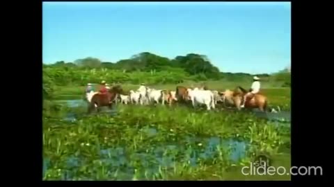Pantanal 1990 Capítulo 58 (Rede Manchete)