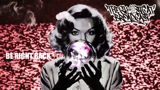 The GhostCat Broadcast: Fortnite / Retro Vibes