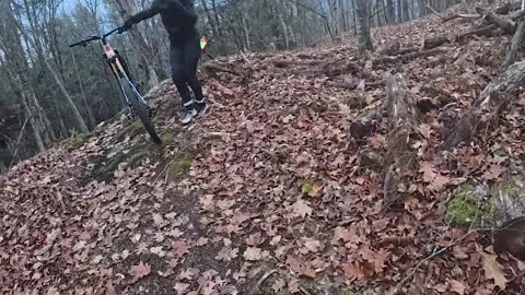 Dog Leaps Onto Mountain Biker