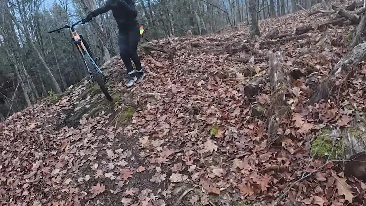 Dog Leaps Onto Mountain Biker