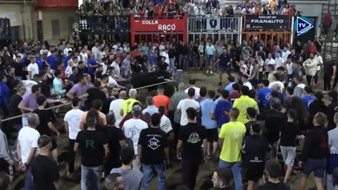 2 TORO NOCHE 8oct DLOBARRAMAS ganaderia TOROS DEL TORERO N 7