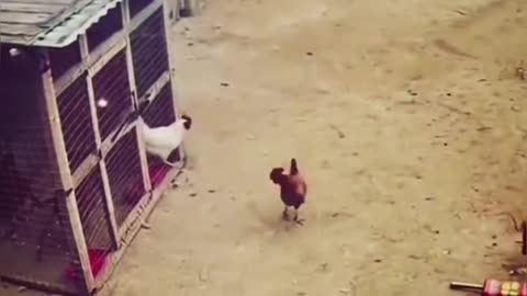 Try Not To Laugh 🎭Trending Video 16 #omthapa #shorts #funny #viral #funnyvideo #funnyfails #epicfail