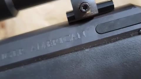 Cheap Ruger American Bolt-Action Hunting Rifle