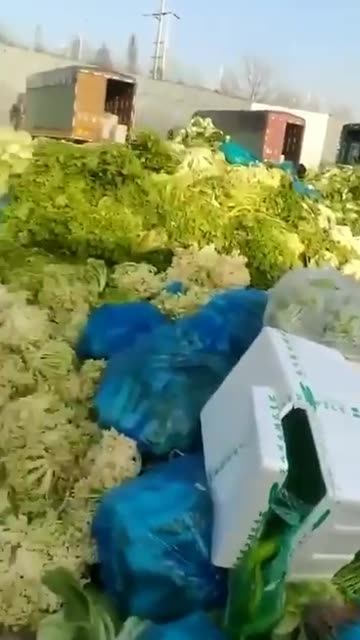 These vegetables are Covid positive so they are throwing them 🤣