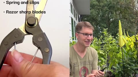 🌿✂️ 250-Year-Old SECRET: Are These the LIGHTEST Japanese Pruners EVER? #garden